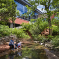 The Power of Outdoor Education and Environmental Programs in Central TX Schools