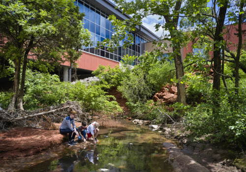 The Power of Outdoor Education and Environmental Programs in Central TX Schools